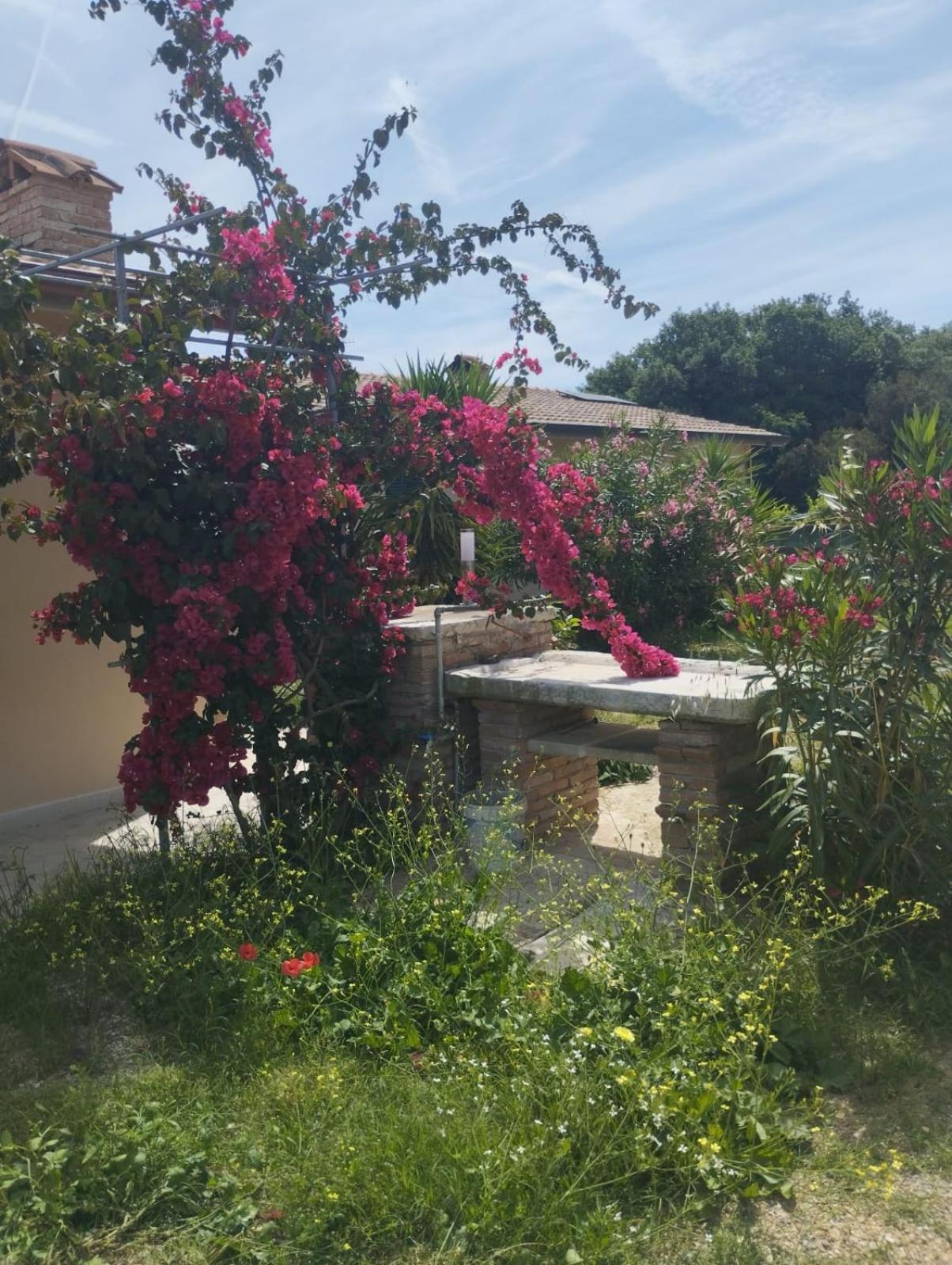 Appartamenti Mirella Capoliveri  Exterior foto